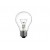 BEC INCANDESCENT 24V 25W E27